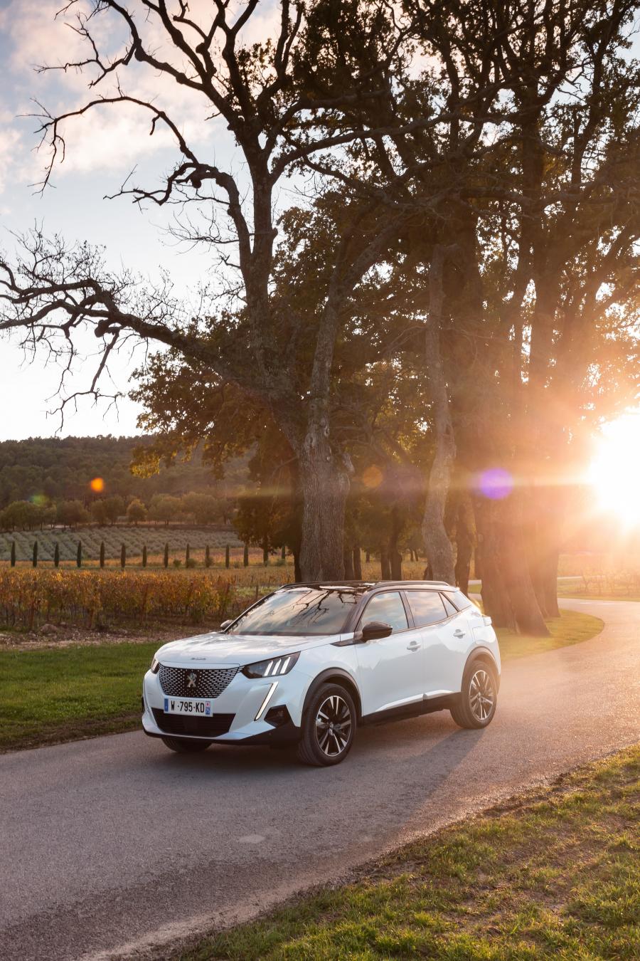  Peugeot e-2008 GT (Digital White) 2019 года  (WW) (фото 17 из 119)